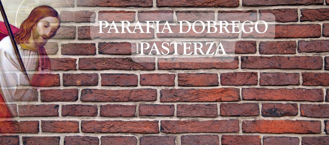 Statystyka roczna Parafii Dobrego Pasterza w Bytomiu