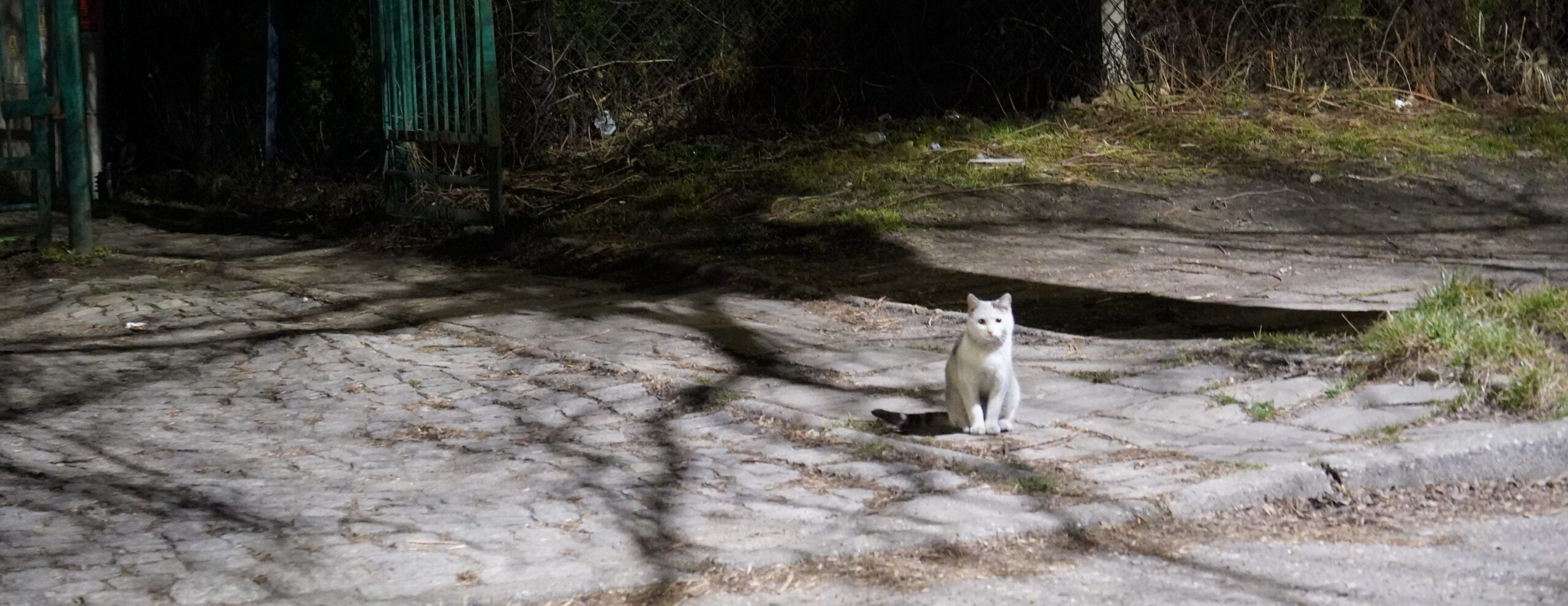 Galeria zdjęć nocnych